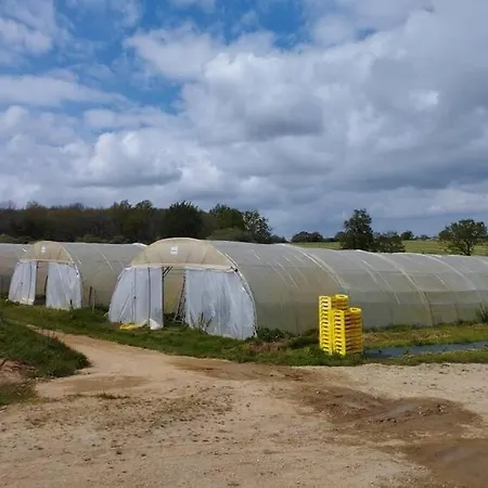 Gite De Groupe A La Ferme Proximite Mer * Saint-Julien-des-Landes